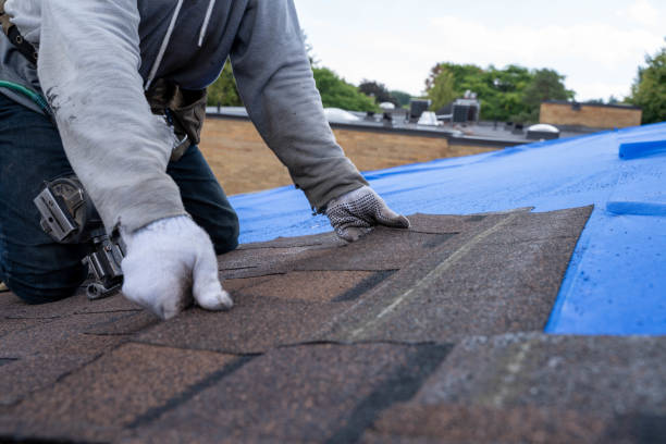 Best Local Roofing Companies  in Fairbury, NE