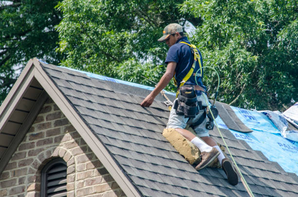 Best Residential Roofing Contractor  in Fairbury, NE